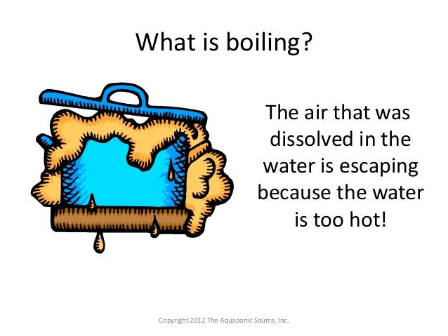 small-scale aquaponics training course & certificate