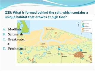 Q25: What is formed behind the spit, which contains a unique habitat that drowns at high tide? Mudflats Saltmarsh Breakwaters Freshmarsh 