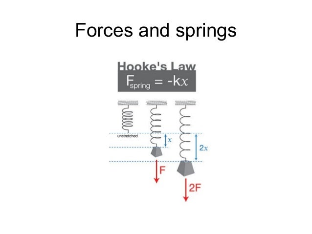 Lesson 13 hooke's law