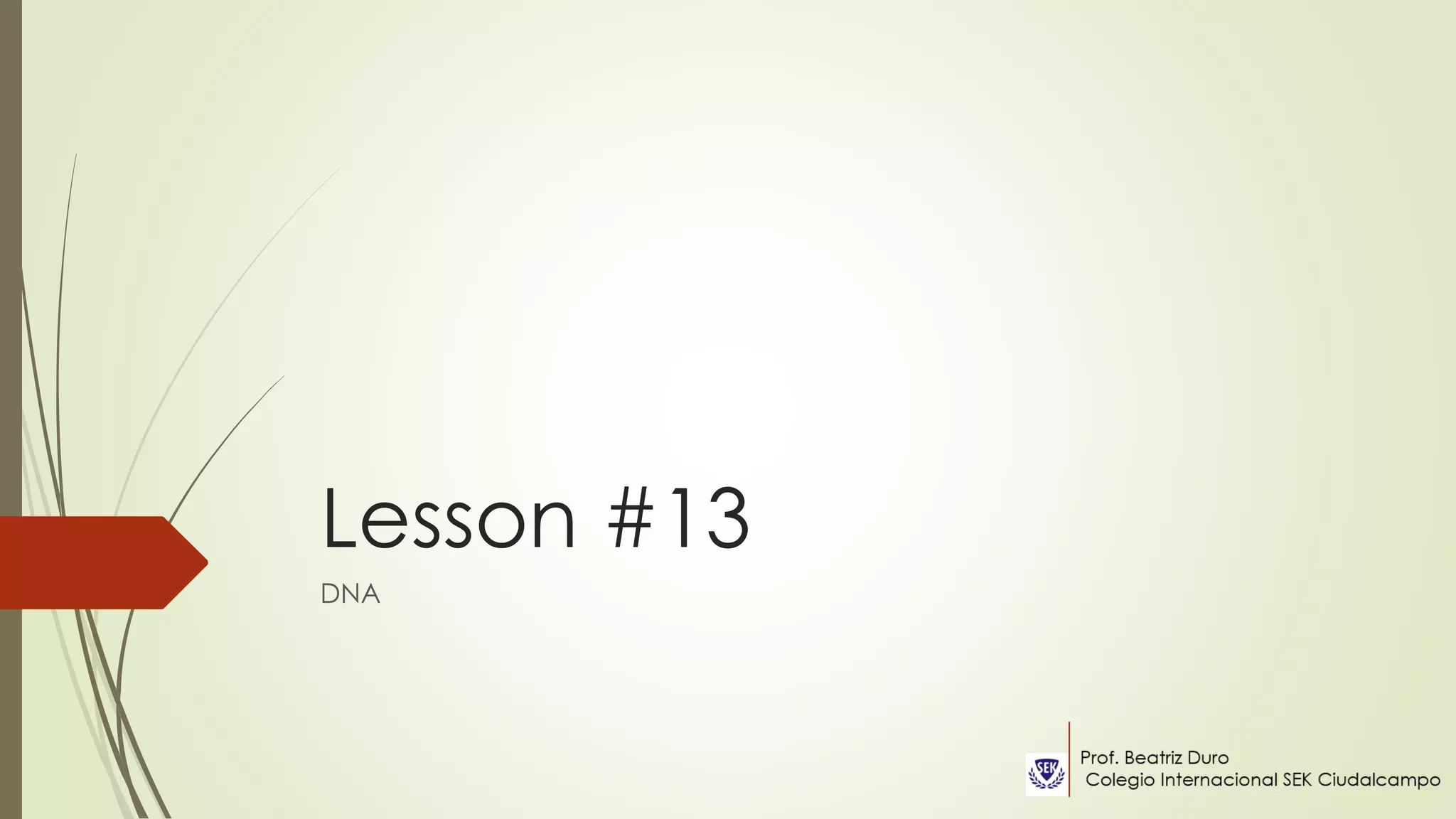 Lesson #13
DNA
