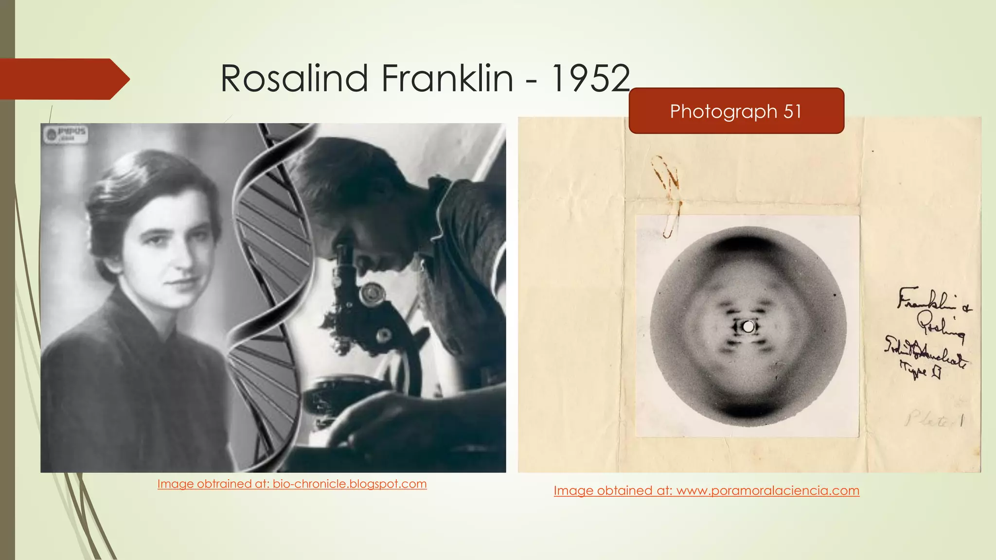 Rosalind Franklin - 1952
Image obtrained at: bio-chronicle.blogspot.com
Image obtained at: www.poramoralaciencia.com
Photograph 51
