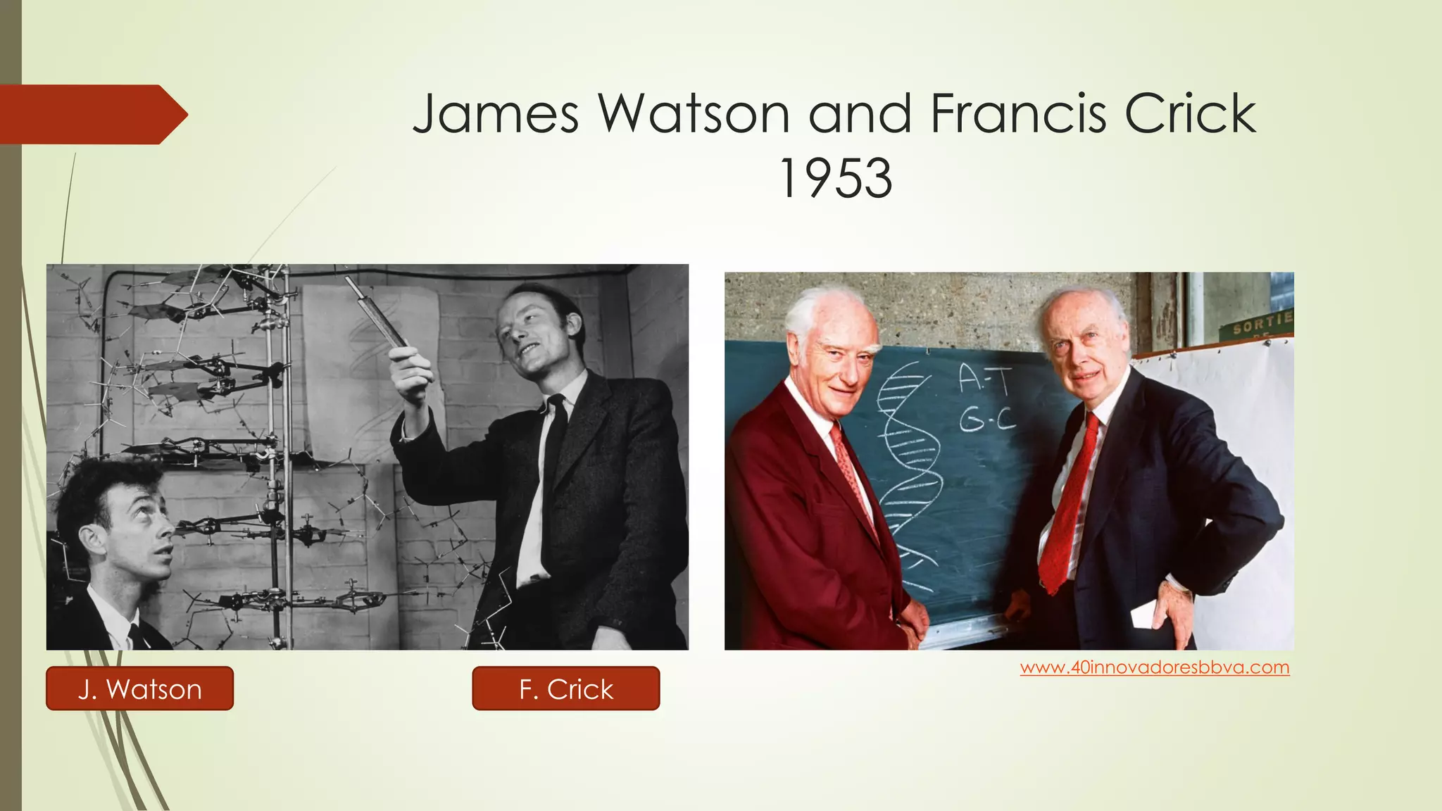 James Watson and Francis Crick
1953
www.40innovadoresbbva.com
J. Watson F. Crick