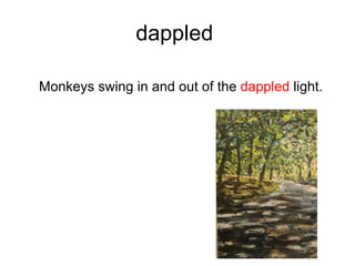 dappled  ,[object Object]