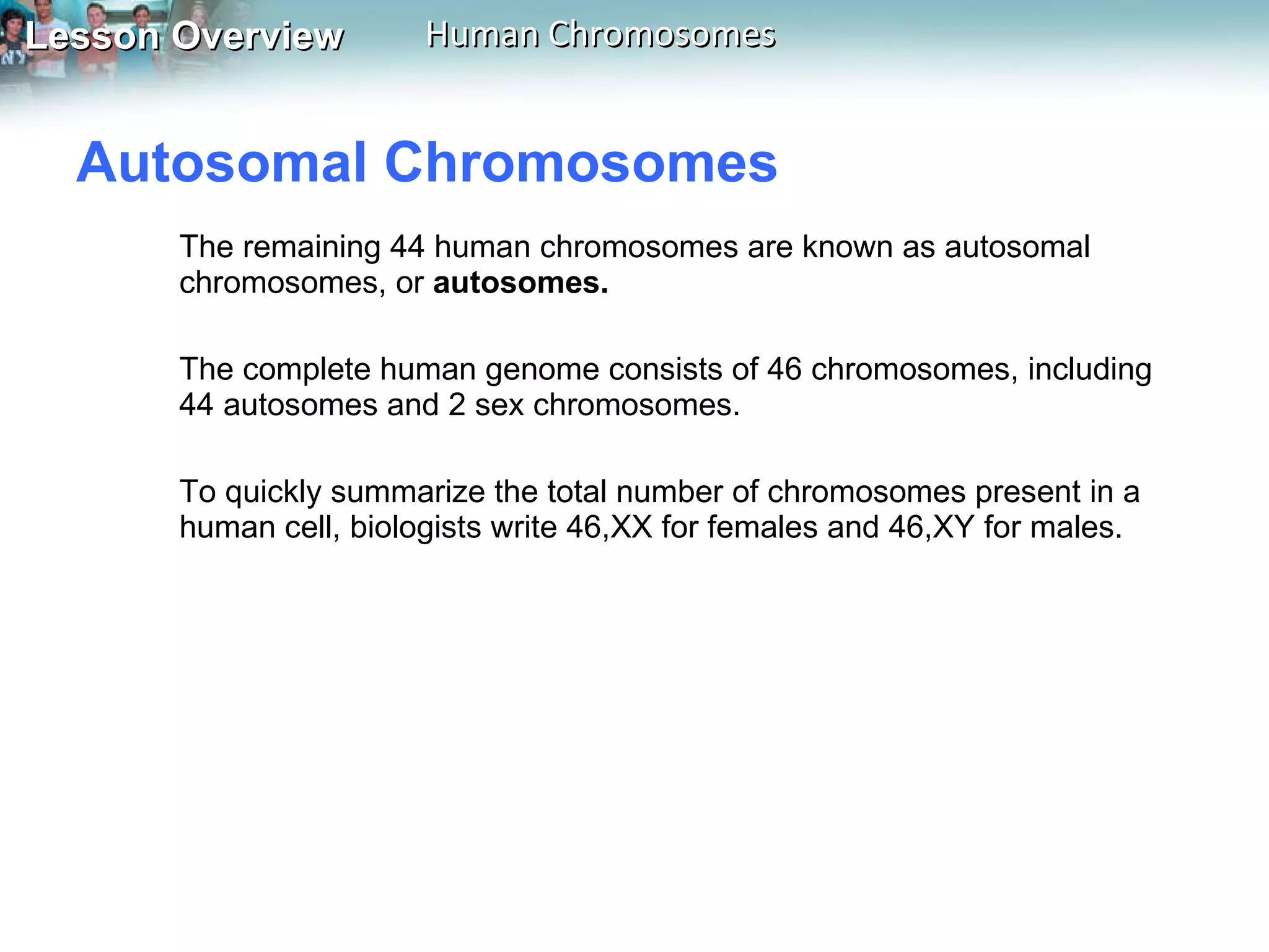 Autosomal Chromosomes  The remaining 44 human chromosomes are known as autosomal chromosomes, or  autosomes.  The complete human genome consists of 46 chromosomes, including 44 autosomes and 2 sex chromosomes.  To quickly summarize the total number of chromosomes present in a human cell, biologists write 46,XX for females and 46,XY for males. 