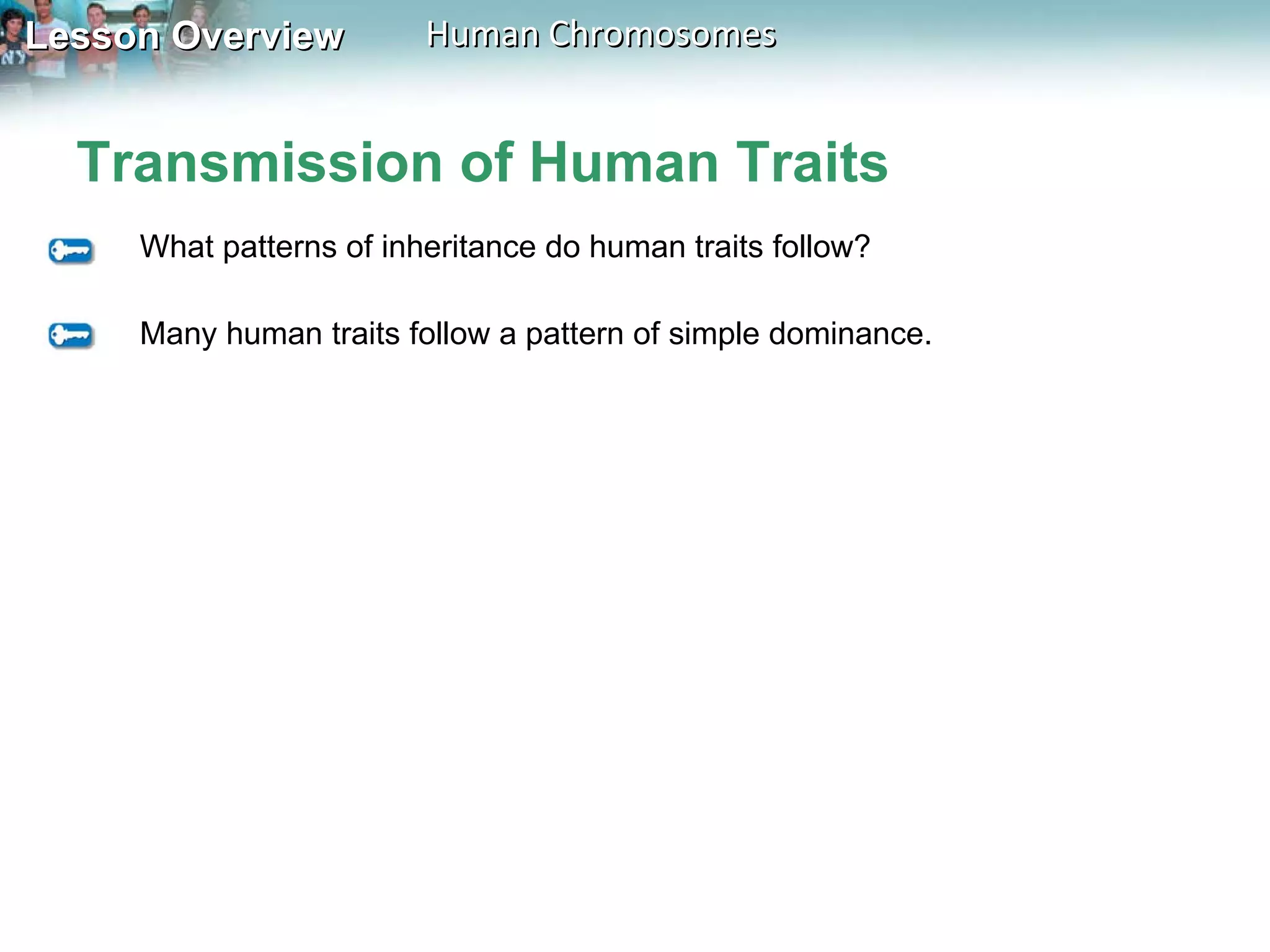 Transmission of Human Traits What patterns of inheritance do human traits follow? Many human traits follow a pattern of simple dominance. 