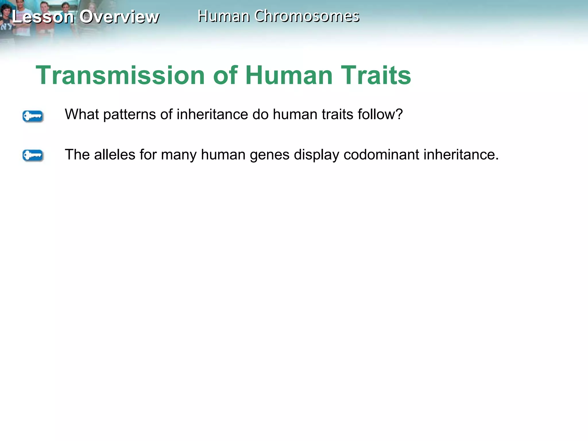 Transmission of Human Traits What patterns of inheritance do human traits follow? The alleles for many human genes display codominant inheritance. 