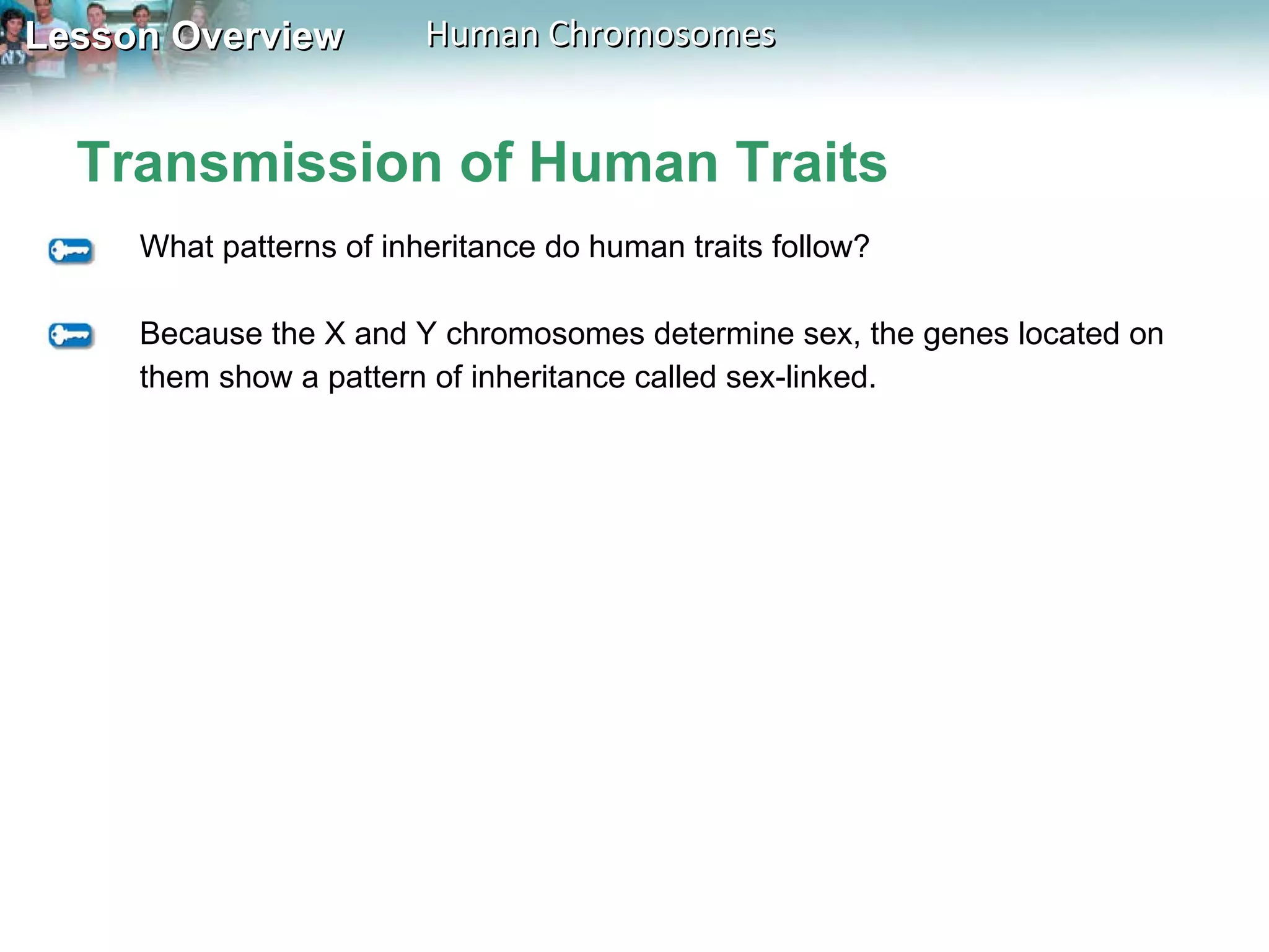 Transmission of Human Traits What patterns of inheritance do human traits follow? Because the X and Y chromosomes determine sex, the genes located on them show a pattern of inheritance called sex-linked. 