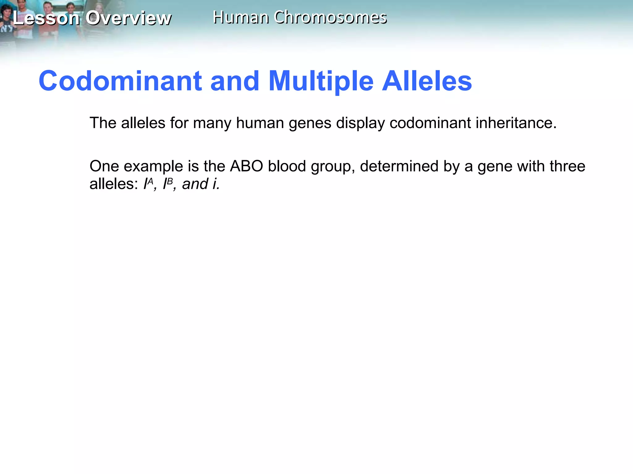 Codominant and Multiple Alleles  The alleles for many human genes display codominant inheritance. One example is the ABO blood group, determined by a gene with three alleles:  I A , I B , and i.  