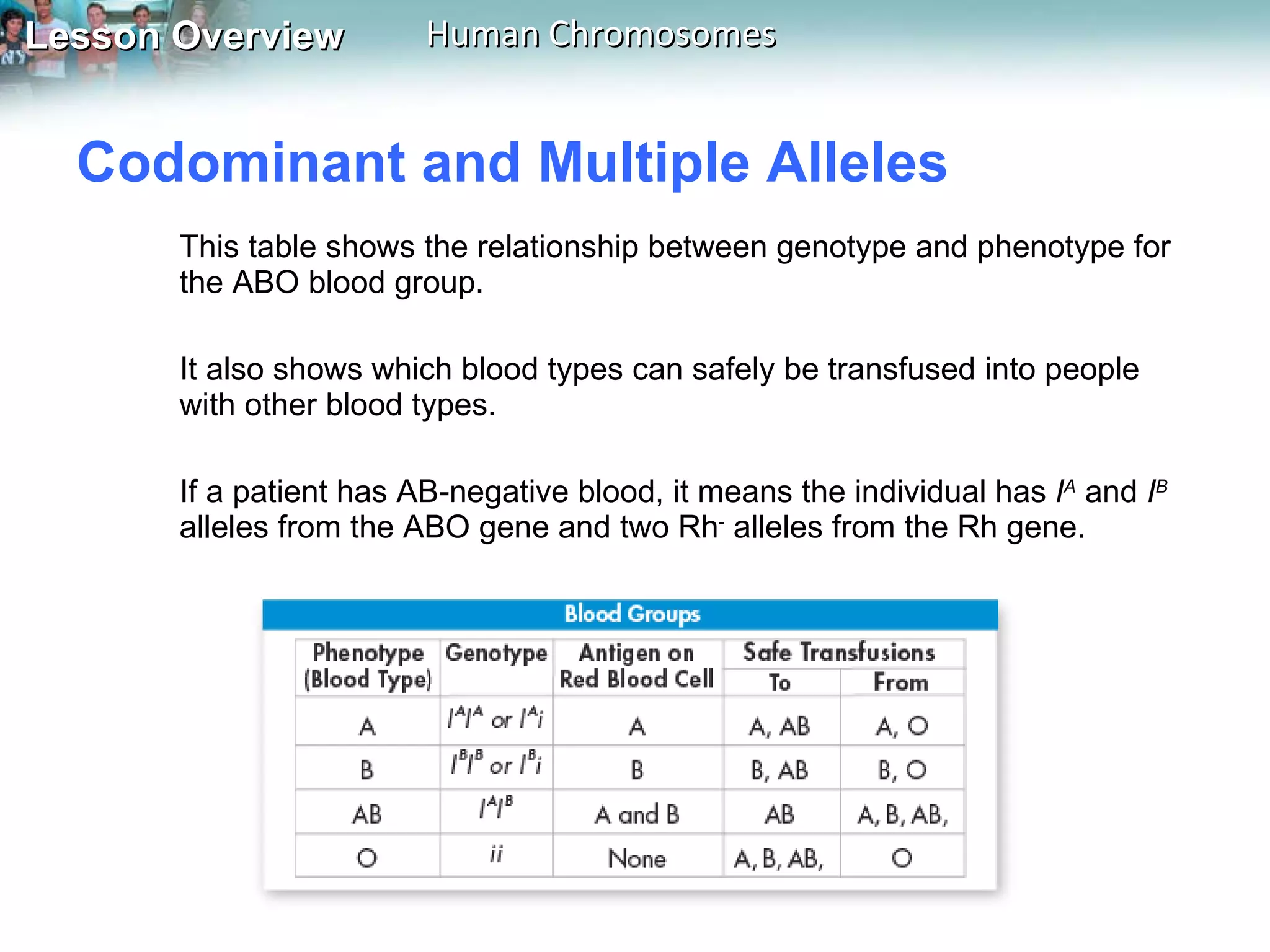 Codominant and Multiple Alleles  This table shows the relationship between genotype and phenotype for the ABO blood group.  It also shows which blood types can safely be transfused into people with other blood types. If a patient has AB-negative blood, it means the individual has  I A   and  I B   alleles from the ABO gene and two Rh -  alleles from the Rh gene. 