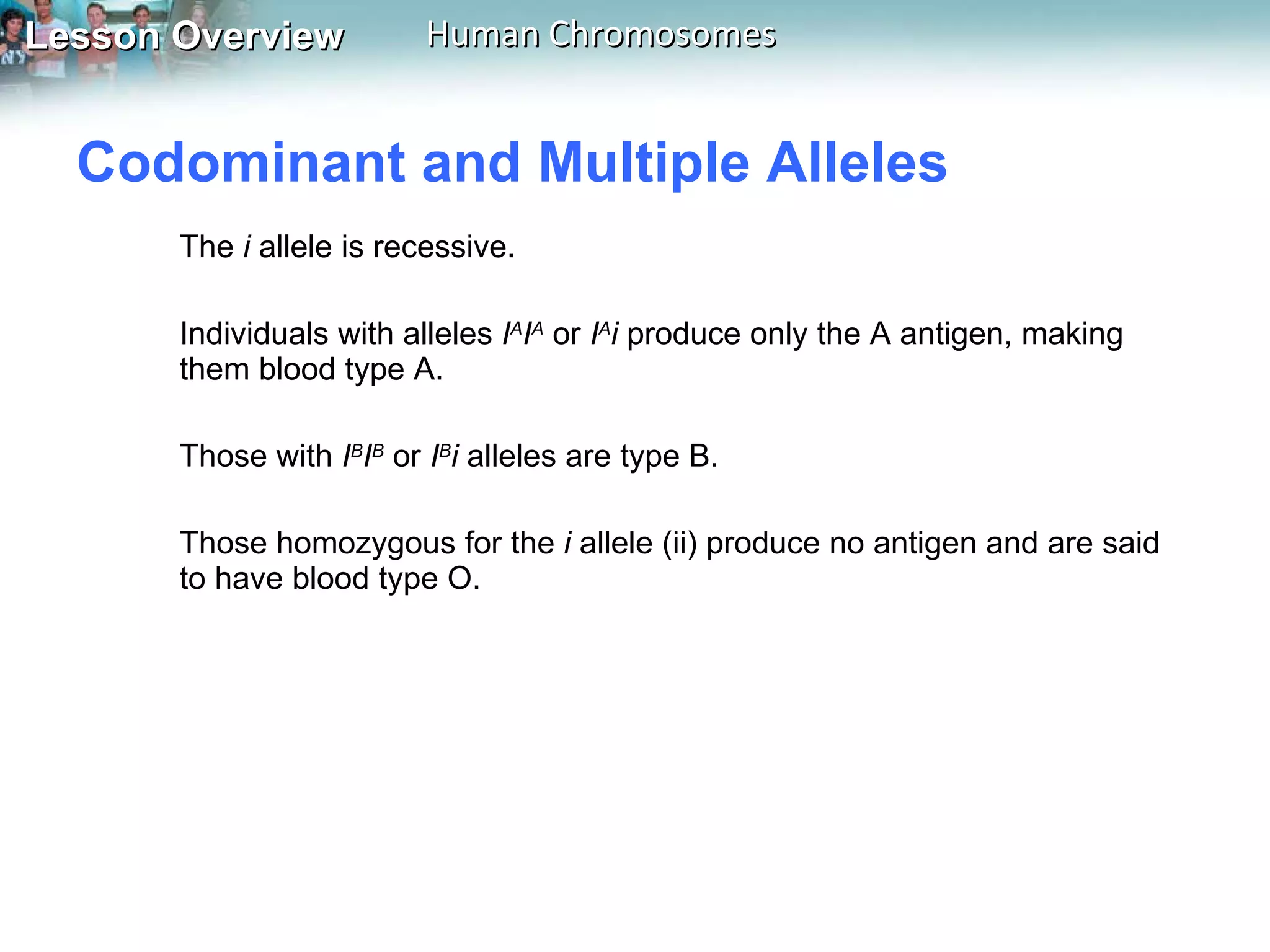 Codominant and Multiple Alleles  The  i  allele is recessive.  Individuals with alleles  I A I A  or  I A i  produce only the A antigen, making them blood type A.  Those with  I B I B  or  I B i  alleles are type B.  Those homozygous for the  i  allele (ii) produce no antigen and are said to have blood type O.  