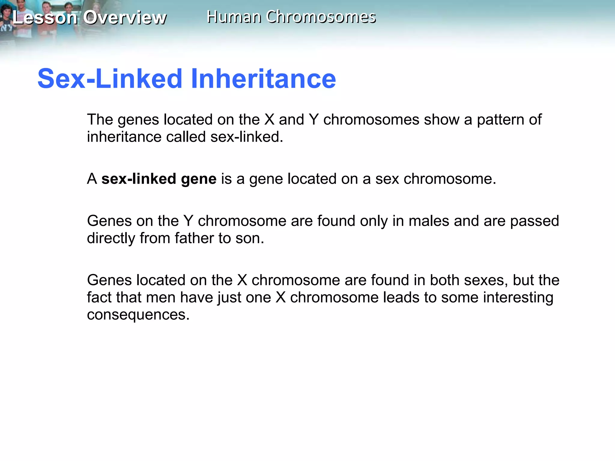 Sex-Linked Inheritance  The genes located on the X and Y chromosomes show a pattern of inheritance called sex-linked.  A  sex-linked gene  is a gene located on a sex chromosome.  Genes on the Y chromosome are found only in males and are passed directly from father to son.  Genes located on the X chromosome are found in both sexes, but the fact that men have just one X chromosome leads to some interesting consequences. 