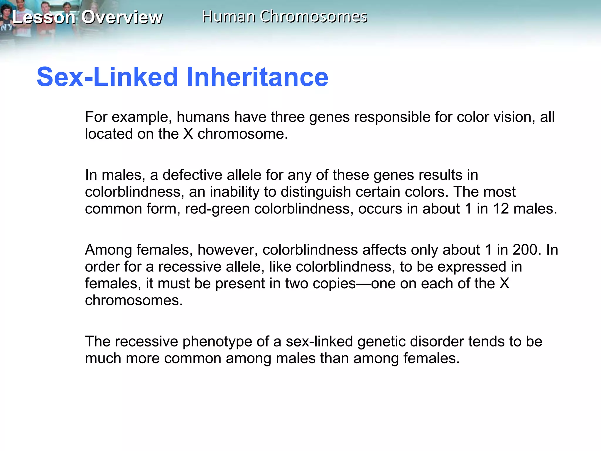 Sex-Linked Inheritance  For example, humans have three genes responsible for color vision, all located on the X chromosome.  In males, a defective allele for any of these genes results in colorblindness, an inability to distinguish certain colors. The most common form, red-green colorblindness, occurs in about 1 in 12 males.  Among females, however, colorblindness affects only about 1 in 200. In order for a recessive allele, like colorblindness, to be expressed in females, it must be present in two copies—one on each of the X chromosomes.  The recessive phenotype of a sex-linked genetic disorder tends to be much more common among males than among females. 