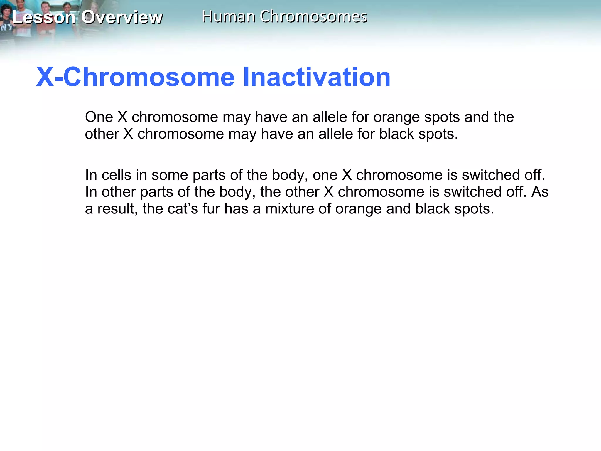 X-Chromosome Inactivation  One X chromosome may have an allele for orange spots and the other X chromosome may have an allele for black spots.  In cells in some parts of the body, one X chromosome is switched off. In other parts of the body, the other X chromosome is switched off. As a result, the cat’s fur has a mixture of orange and black spots.   