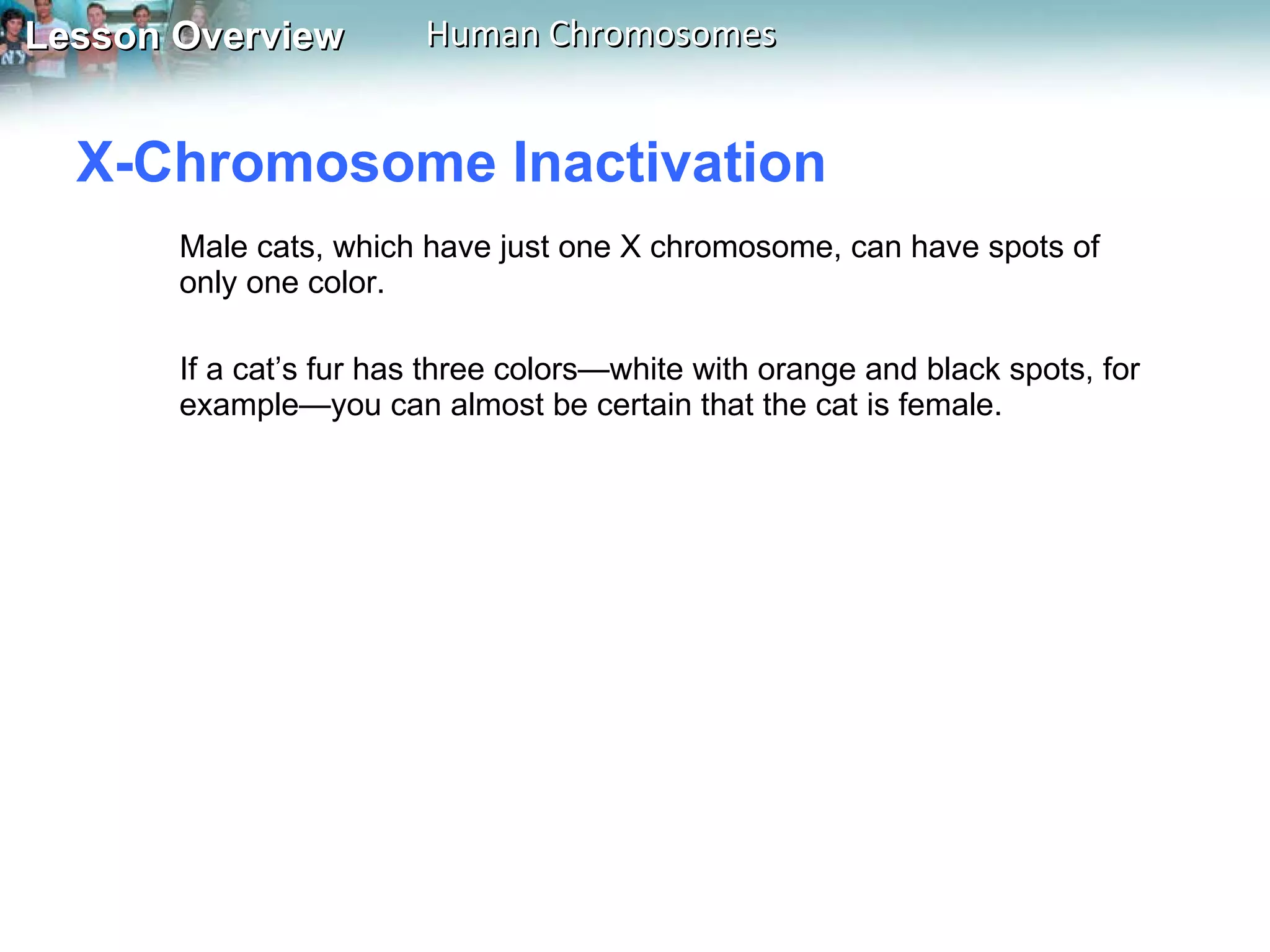 X-Chromosome Inactivation  Male cats, which have just one X chromosome, can have spots of only one color.  If a cat’s fur has three colors—white with orange and black spots, for example—you can almost be certain that the cat is female. 