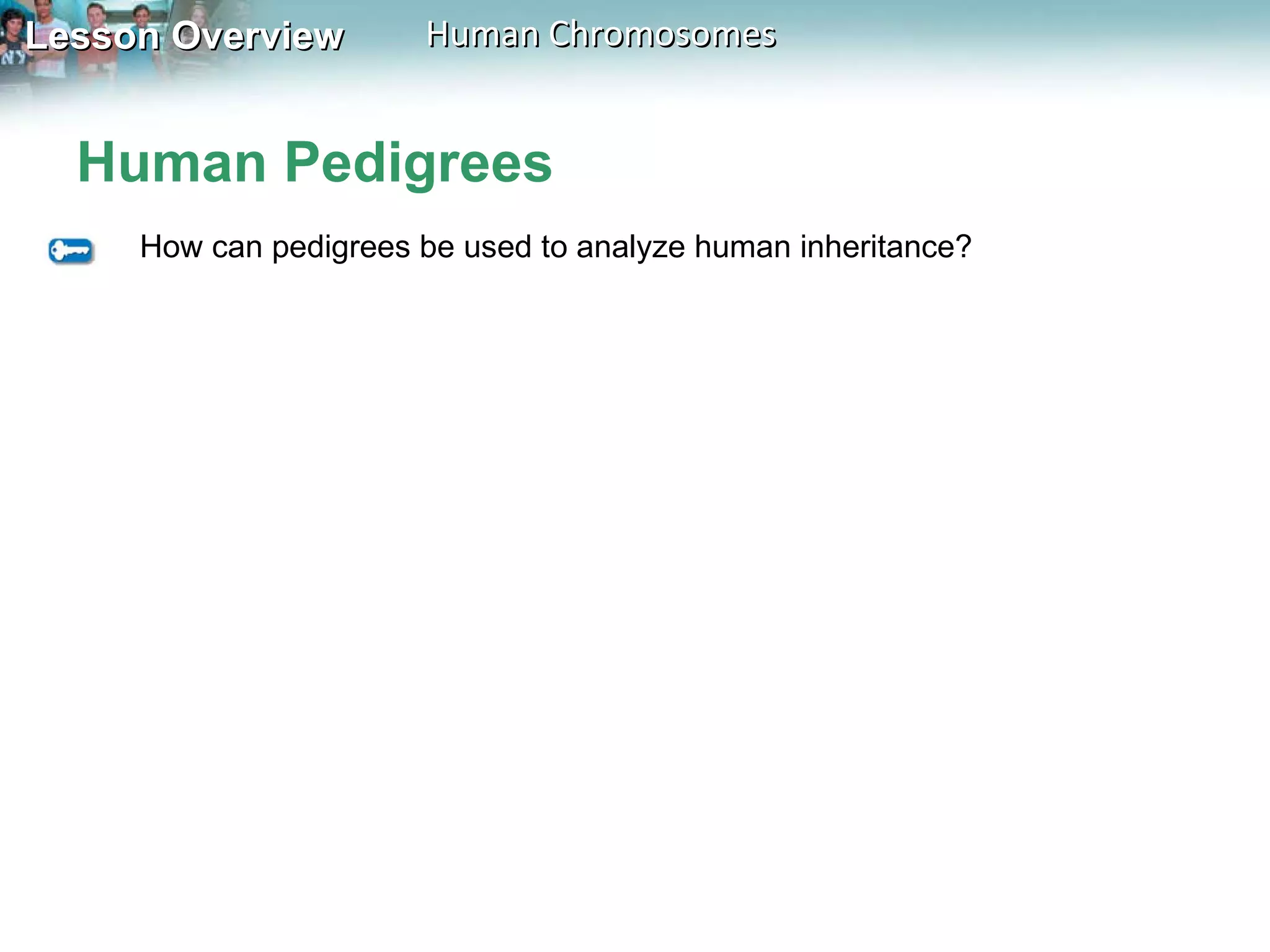 Human Pedigrees How can pedigrees be used to analyze human inheritance? 