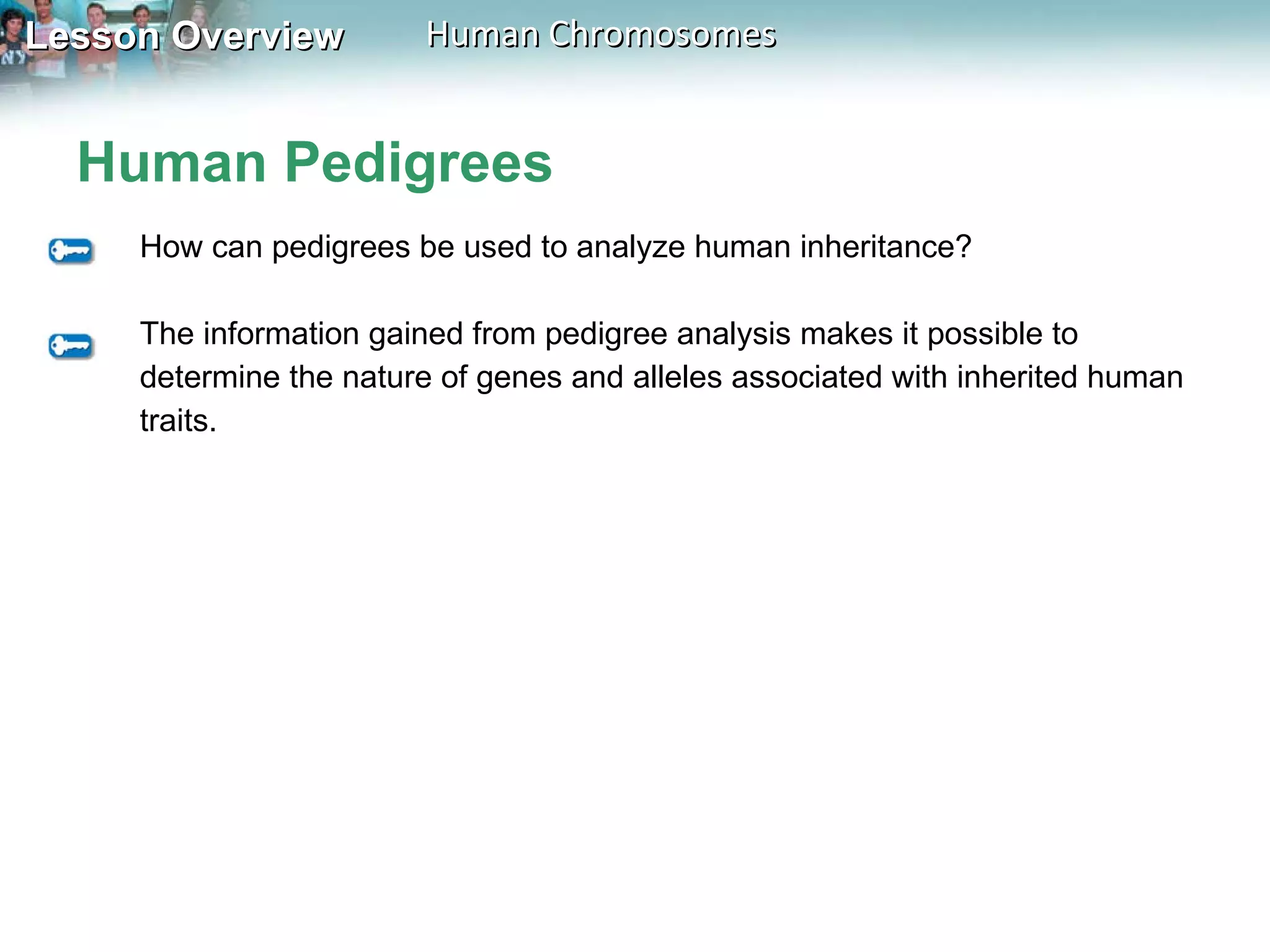 Human Pedigrees How can pedigrees be used to analyze human inheritance? The information gained from pedigree analysis makes it possible to determine the nature of genes and alleles associated with inherited human traits. 