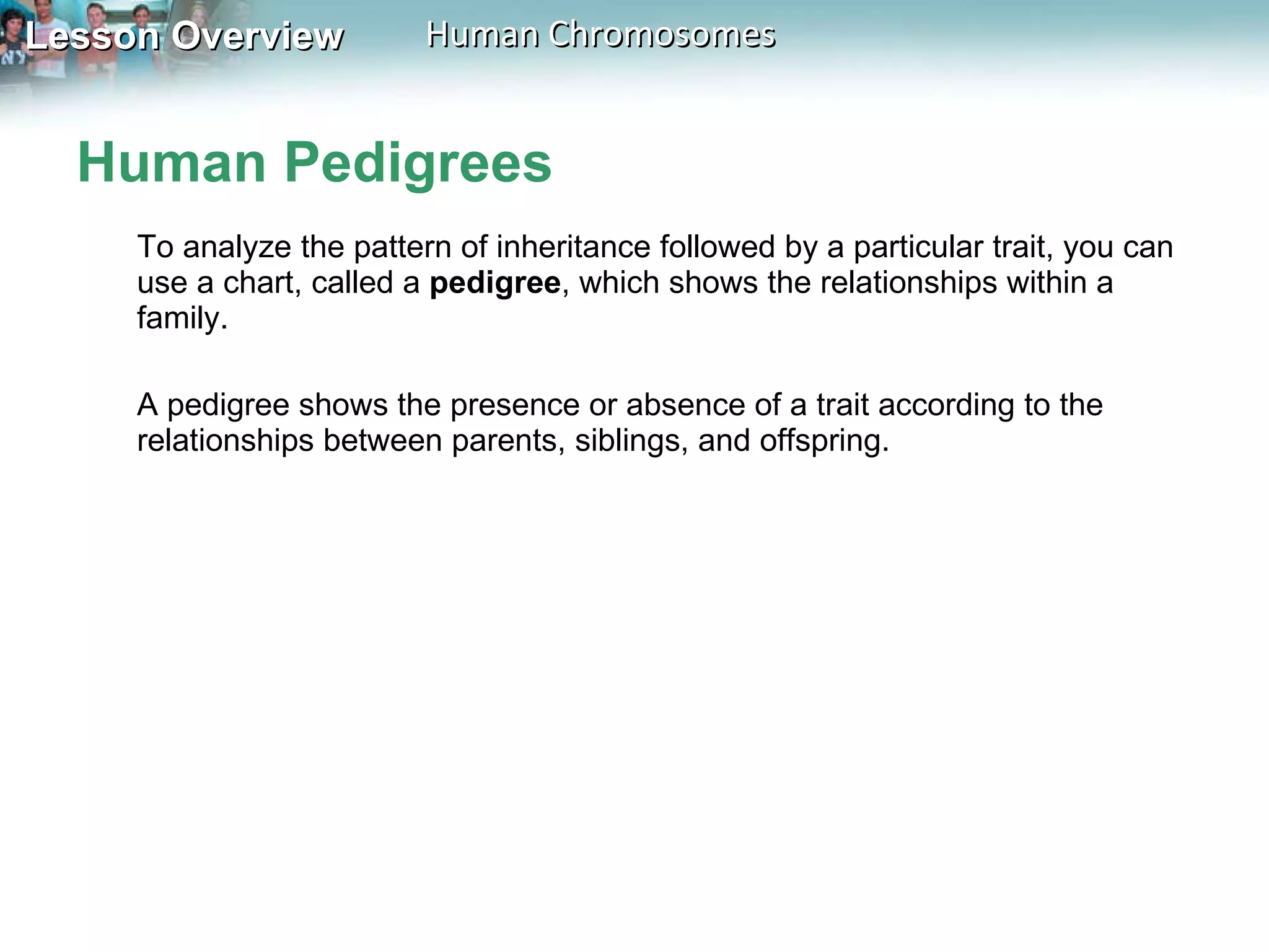 Human Pedigrees To analyze the pattern of inheritance followed by a particular trait, you can use a chart, called a  pedigree , which shows the relationships within a family.  A pedigree shows the presence or absence of a trait according to the relationships between parents, siblings, and offspring.  