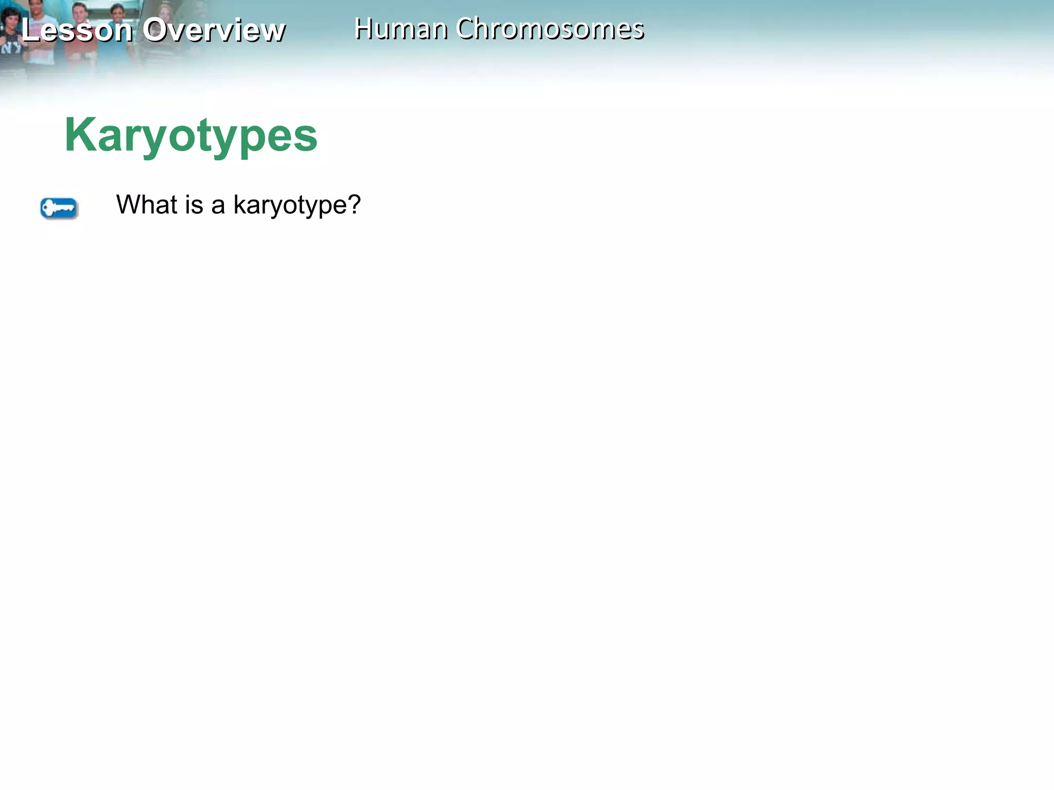 Karyotypes What is a karyotype? 