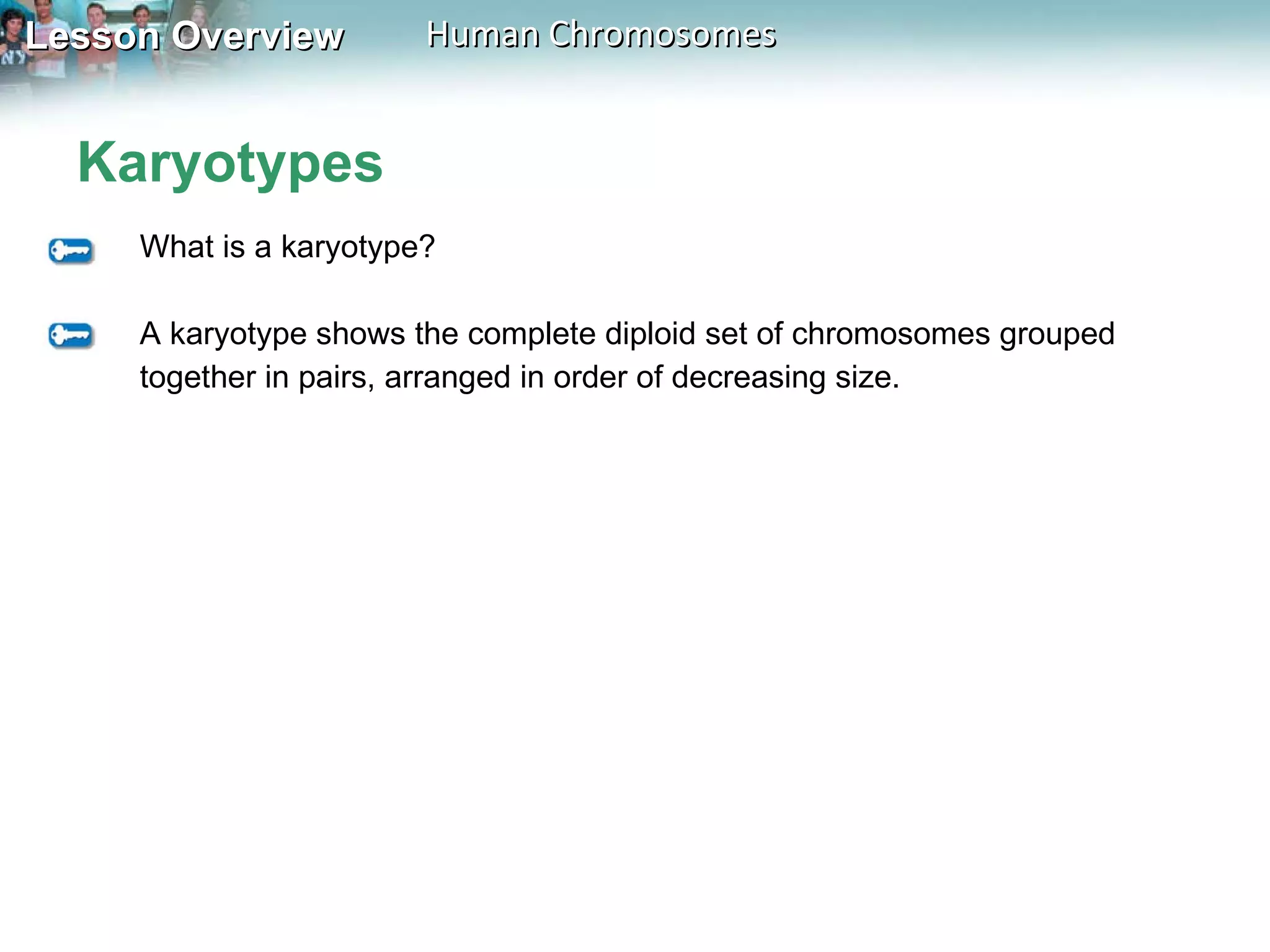 Karyotypes What is a karyotype? A karyotype shows the complete diploid set of chromosomes grouped together in pairs, arranged in order of decreasing size. 