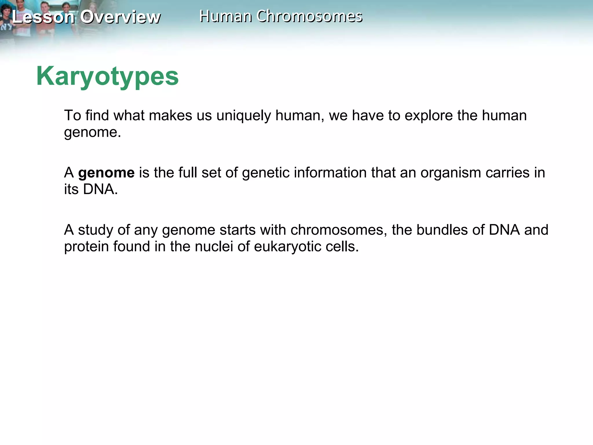 Karyotypes To find what makes us uniquely human, we have to explore the human genome.  A  genome  is the full set of genetic information that an organism carries in its DNA. A study of any genome starts with chromosomes, the bundles of DNA and protein found in the nuclei of eukaryotic cells.  