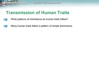 Transmission of Human Traits What patterns of inheritance do human traits follow? Many human traits follow a pattern of simple dominance. 