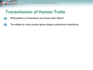 Transmission of Human Traits What patterns of inheritance do human traits follow? The alleles for many human genes display codominant inheritance. 