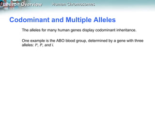 Codominant and Multiple Alleles  The alleles for many human genes display codominant inheritance. One example is the ABO blood group, determined by a gene with three alleles:  I A , I B , and i.  