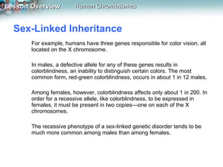 Sex-Linked Inheritance  For example, humans have three genes responsible for color vision, all located on the X chromosome.  In males, a defective allele for any of these genes results in colorblindness, an inability to distinguish certain colors. The most common form, red-green colorblindness, occurs in about 1 in 12 males.  Among females, however, colorblindness affects only about 1 in 200. In order for a recessive allele, like colorblindness, to be expressed in females, it must be present in two copies—one on each of the X chromosomes.  The recessive phenotype of a sex-linked genetic disorder tends to be much more common among males than among females. 