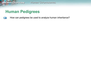 Human Pedigrees How can pedigrees be used to analyze human inheritance? 