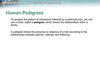Human Pedigrees To analyze the pattern of inheritance followed by a particular trait, you can use a chart, called a  pedigree , which shows the relationships within a family.  A pedigree shows the presence or absence of a trait according to the relationships between parents, siblings, and offspring.  