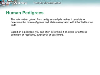 Human Pedigrees The information gained from pedigree analysis makes it possible to determine the nature of genes and alleles associated with inherited human traits.  Based on a pedigree, you can often determine if an allele for a trait is dominant or recessive, autosomal or sex-linked. 