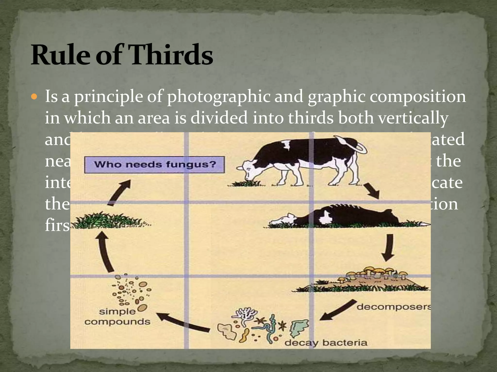  Is a principle of photographic and graphic composition
in which an area is divided into thirds both vertically
and horizontally and the centers of interest are located
near the intersections of the lines. The numbers at the
intersections that divide the image into thirds indicate
the percentage of people that look at that intersection
first when reading a visual.
 