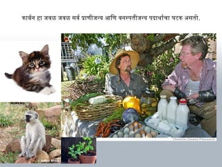 कार्बनर्थन हार् जवळ जवळ सवर्थ प्रार्णीजन्य आणिण वनस्पतीजन्य पदार्थ ार्र्थचार् घटक असतो.
 