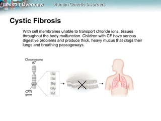 Cystic Fibrosis  With cell membranes unable to transport chloride ions, tissues throughout the body malfunction. Children with CF have serious digestive problems and produce thick, heavy mucus that clogs their lungs and breathing passageways. 