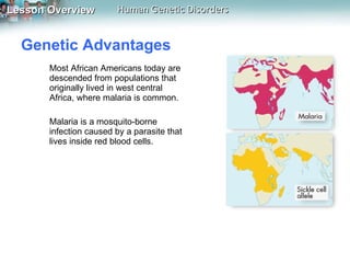 Genetic Advantages  Most African Americans today are descended from populations that originally lived in west central Africa, where malaria is common.  Malaria is a mosquito-borne infection caused by a parasite that lives inside red blood cells.  