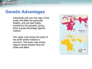 Genetic Advantages  Individuals with just one copy of the sickle cell allele are generally healthy, and are also highly resistant to the parasite, giving them a great advantage against malaria.  The upper map shows the parts of the world where malaria is common. The lower map shows regions where people have the sickle cell allele. 