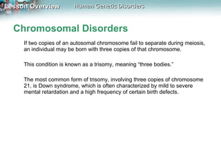 Chromosomal Disorders If two copies of an autosomal chromosome fail to separate during meiosis, an individual may be born with three copies of that chromosome.  This condition is known as a trisomy, meaning “three bodies.”  The most common form of trisomy, involving three copies of chromosome 21, is Down syndrome, which is often characterized by mild to severe mental retardation and a high frequency of certain birth defects. 