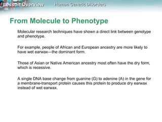 From Molecule to Phenotype Molecular research techniques have shown a direct link between genotype and phenotype.  For example, people of African and European ancestry are more likely to have wet earwax—the dominant form.  Those of Asian or Native American ancestry most often have the dry form, which is recessive.  A single DNA base change from guanine (G) to adenine (A) in the gene for a membrane-transport protein causes this protein to produce dry earwax instead of wet earwax. 
