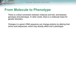 From Molecule to Phenotype There is a direct connection between molecule and trait, and between genotype and phenotype. In other words, there is a molecular basis for genetic disorders. Changes in a gene’s DNA sequence can change proteins by altering their amino acid sequences, which may directly affect one’s phenotype. 
