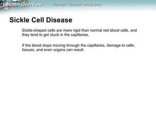 Sickle Cell Disease  Sickle-shaped cells are more rigid than normal red blood cells, and they tend to get stuck in the capillaries.  If the blood stops moving through the capillaries, damage to cells, tissues, and even organs can result. 