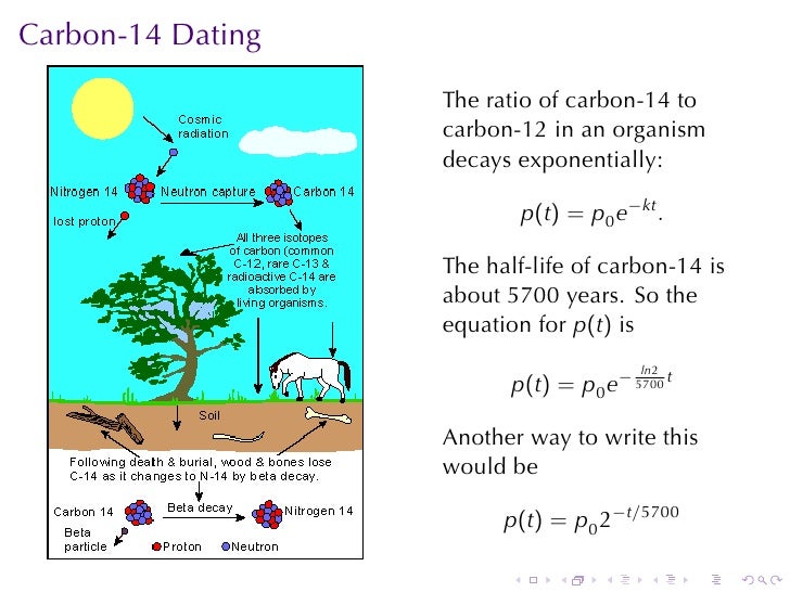 Computing HalfLife Differential Equations in Action