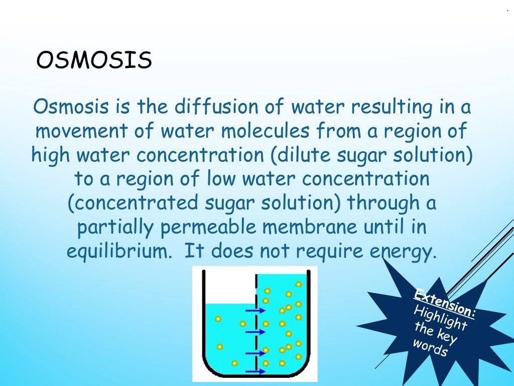 Lesson 14 osmosis