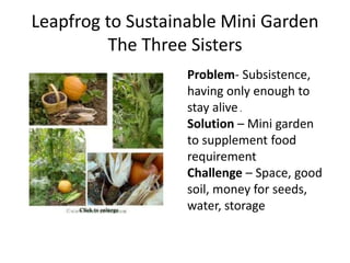 Leapfrog to Sustainable Mini Garden
The Three Sisters
Problem- Subsistence,
having only enough to
stay alive .
Solution – Mini garden
to supplement food
requirement
Challenge – Space, good
soil, money for seeds,
water, storage

 