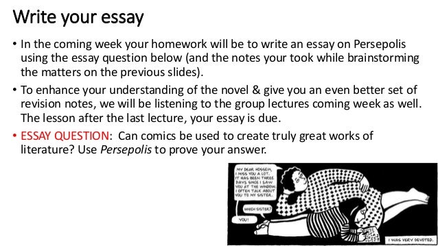 Point of View in Toni Cade Bambara's the lesson essay