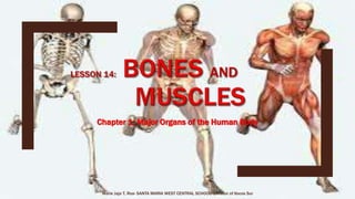 Marie Jaja Tan Roa Santa
Chapter 1: Major Organs of the Human Body
 