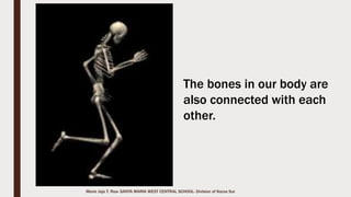 Marie Jaja Tan Roa Santa
The skull helps protect the brain.
 