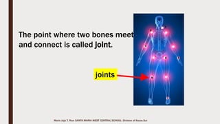 Marie Jaja Tan Roa Santa
 