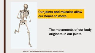 Marie Jaja Tan Roa Santa
The vertebral column
(spinal column and
backbone) is made up of
of a series of irregularly
shaped bones.
It runs from the base of
the skull to the pelvis.
The Axial Skeleton:Vertebral Column
 