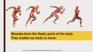 Marie Jaja Tan Roa Santa
Functions of theVertebral Column
Forms a tube which
houses and protects
the spinal cord.
Provides protective
channels for the lower
spinal nerves.
Supports the weight
of the body and head.
 