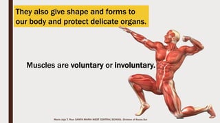 Marie Jaja Tan Roa Santa
ribs
The rib cage form a
protective cage
around the heart and
lungs and some vital
organs.
ribcage
Function of the Ribcage
 